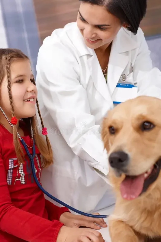pet examination 1 e1748213273549