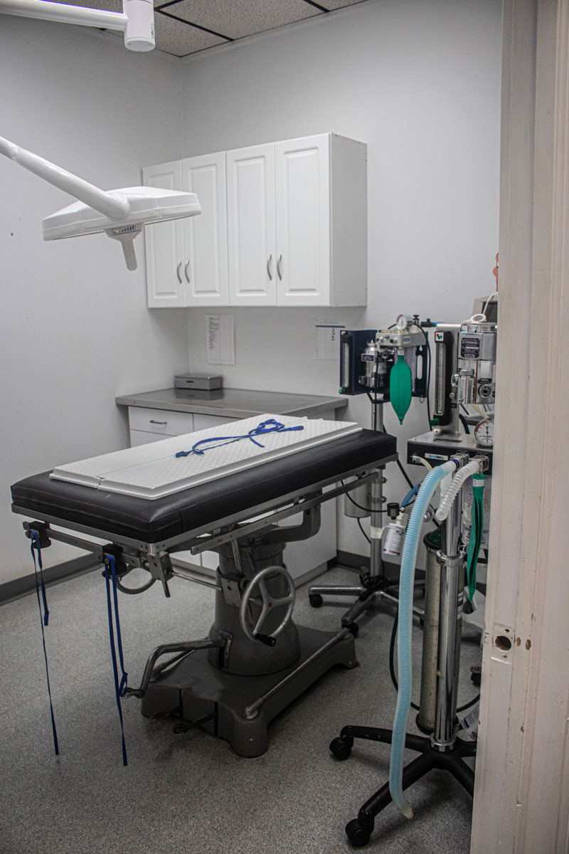 vet surgery